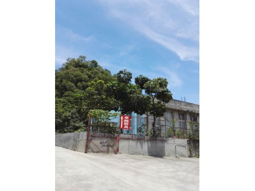 公司正门
